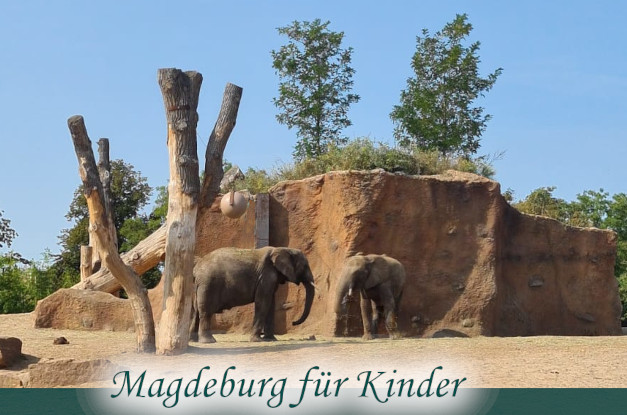 Elefantenpaar im Zoo Magdeburg - Teaser