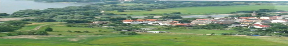 Hotel ElbRivera Magdeburg direkt am Naturschutzgebiet "Kreuzhorst"