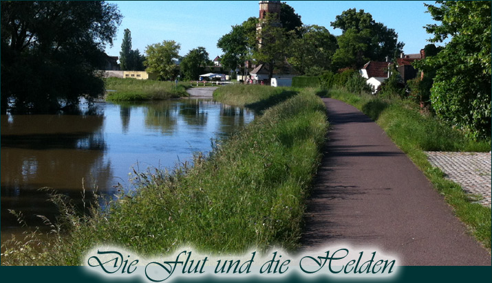 Elbehochwasser 2013
