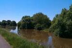 Elbe