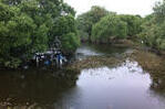 Elbaue mit Hochwasser