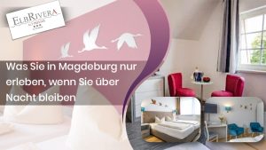 Was Sie in Magdeburg nur erleben